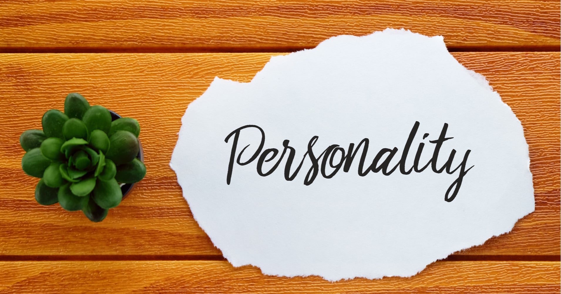 What's Your Plant Personality?